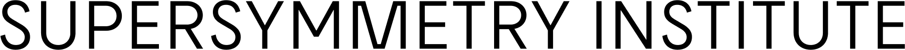 Supersymmetry Institute 2