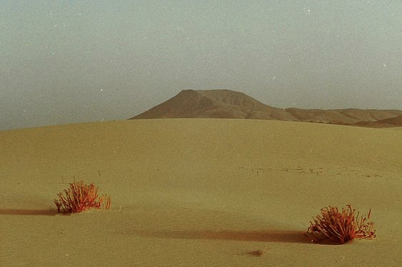 image 42